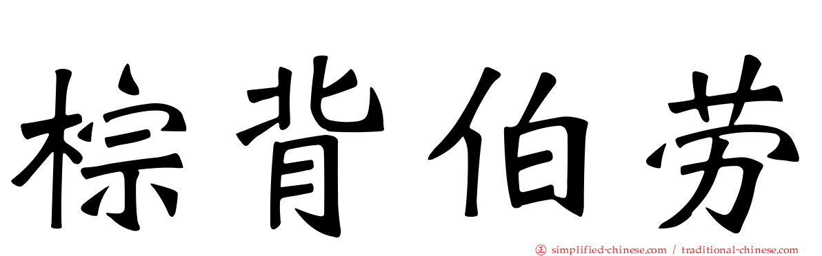 棕背伯劳