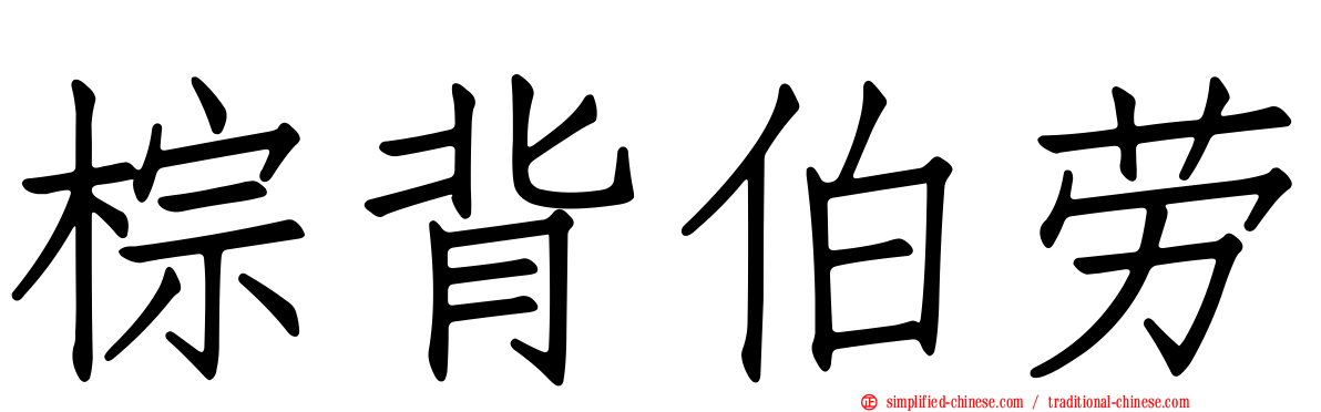 棕背伯劳