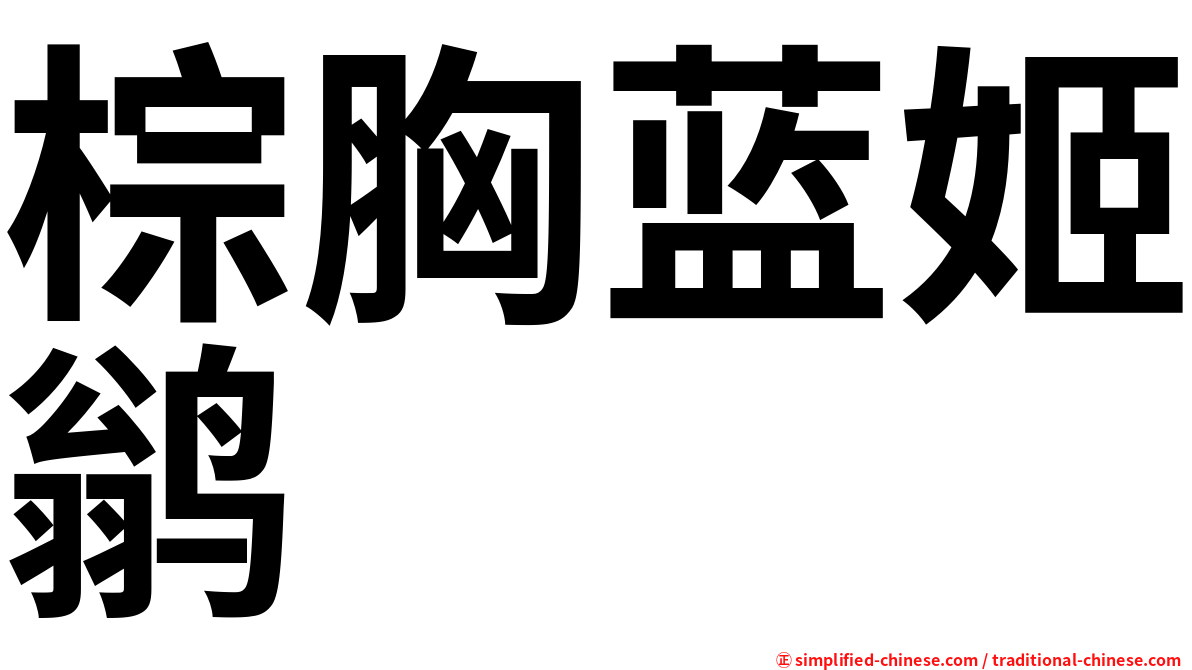 棕胸蓝姬鹟