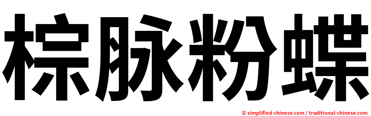 棕脉粉蝶