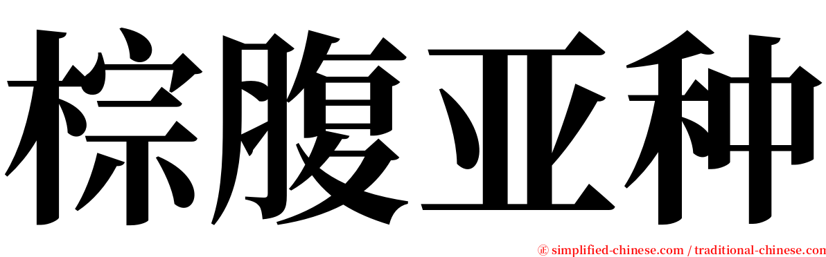 棕腹亚种 serif font