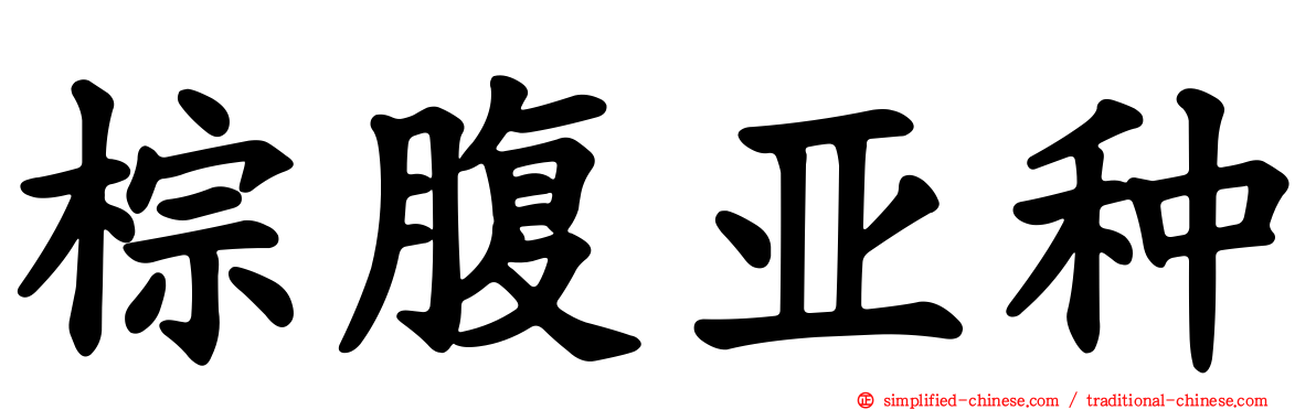 棕腹亚种