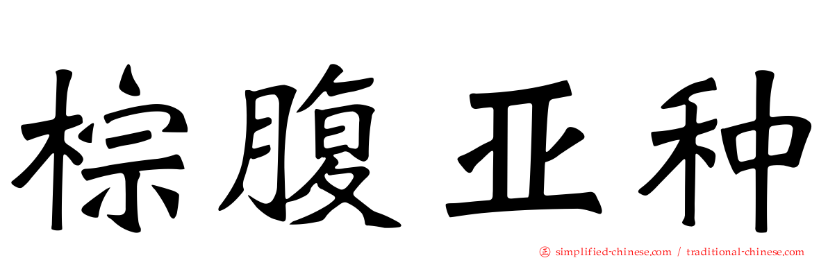 棕腹亚种