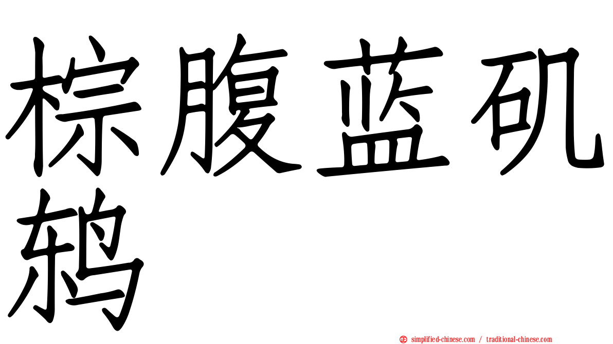 棕腹蓝矶鸫