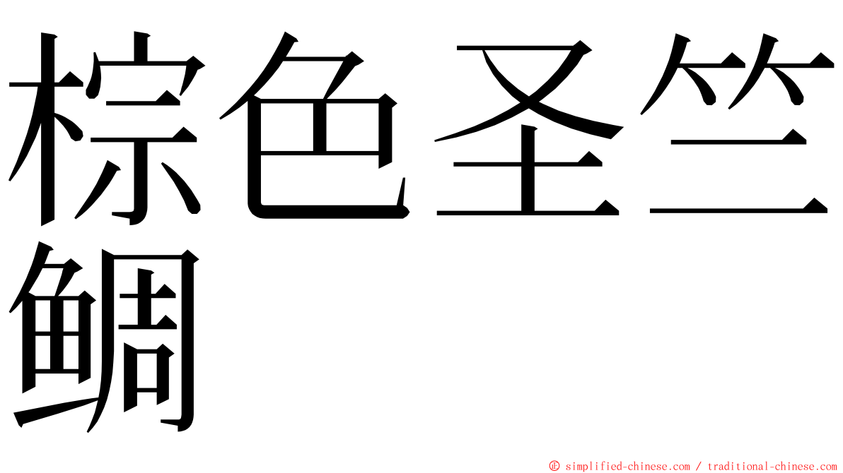 棕色圣竺鲷 ming font