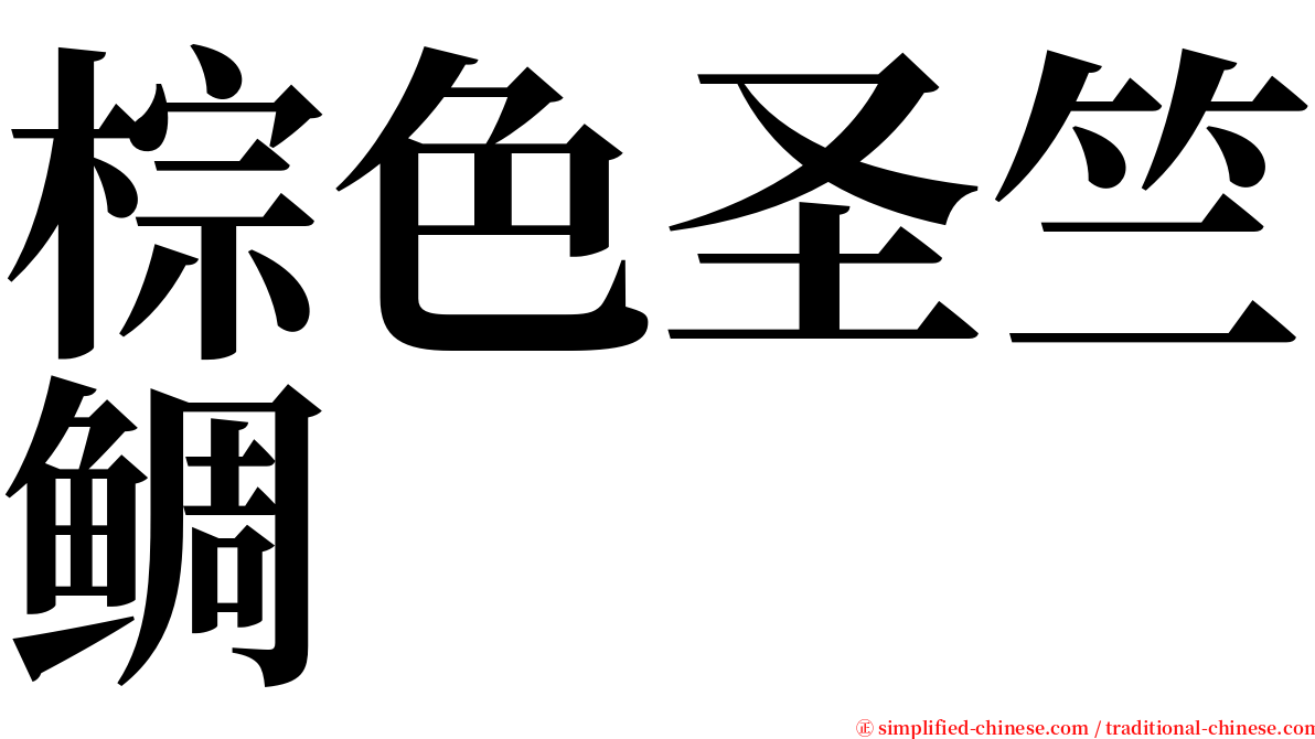 棕色圣竺鲷 serif font