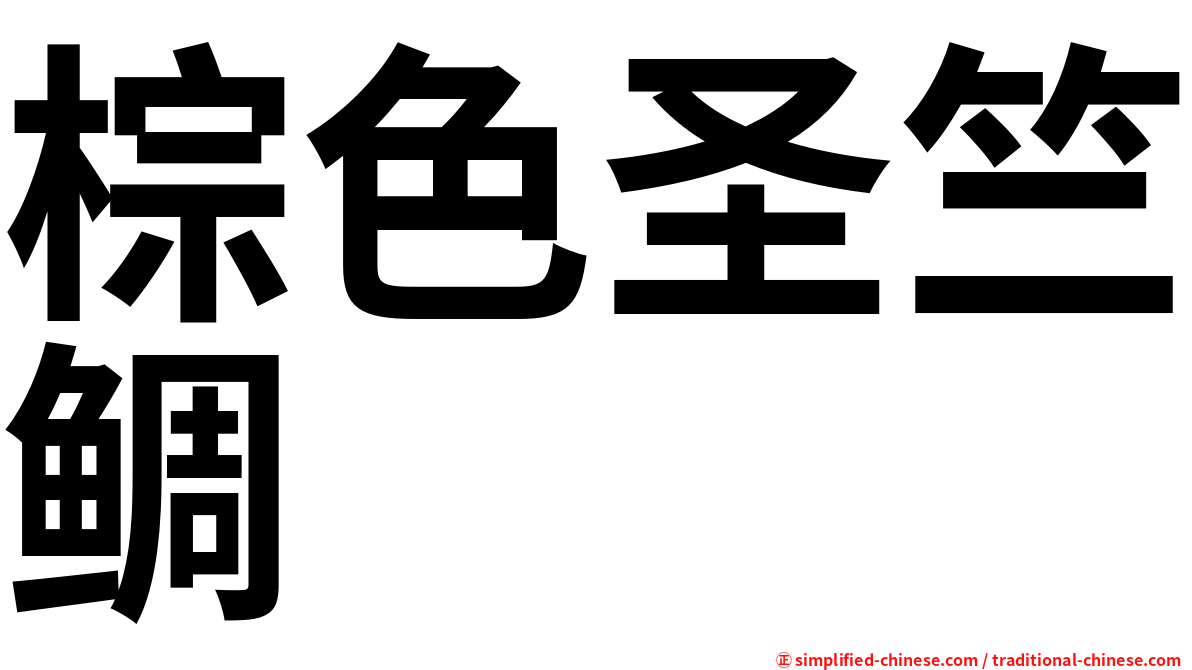 棕色圣竺鲷