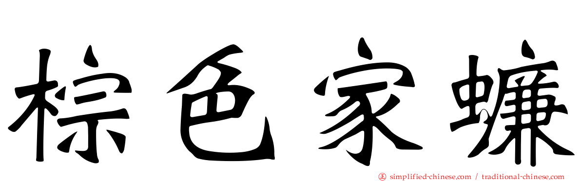 棕色家蠊