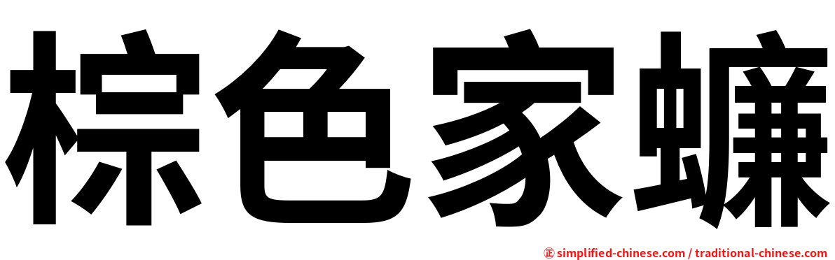 棕色家蠊