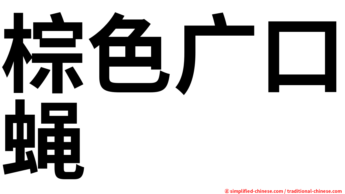 棕色广口蝇