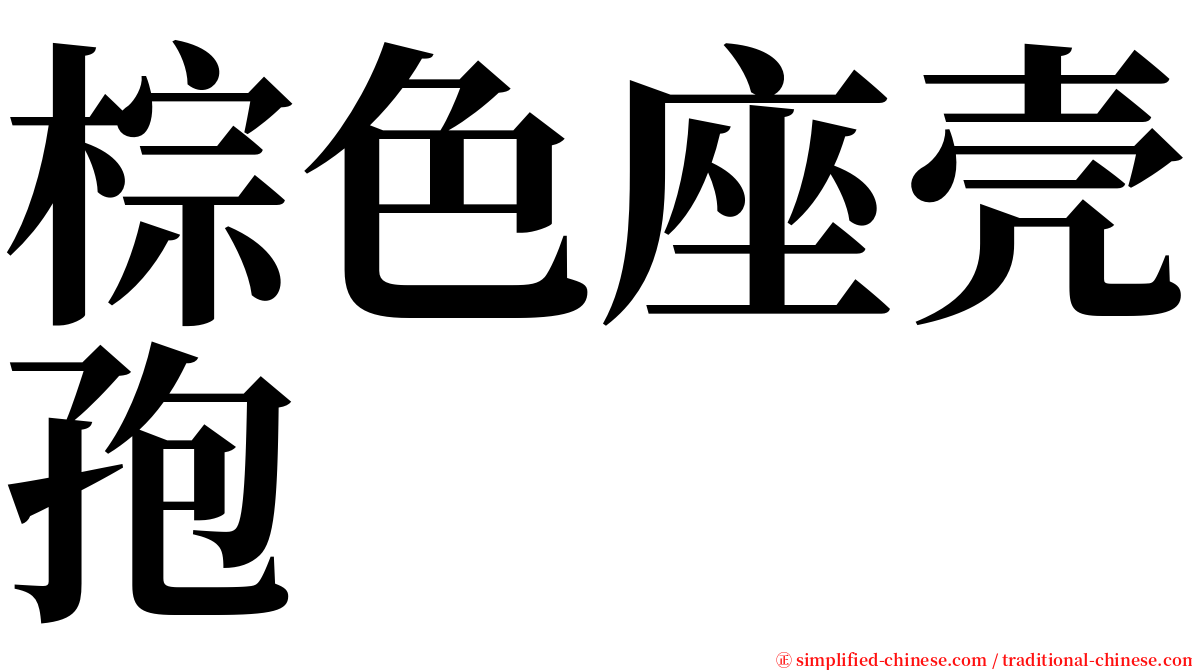 棕色座壳孢 serif font