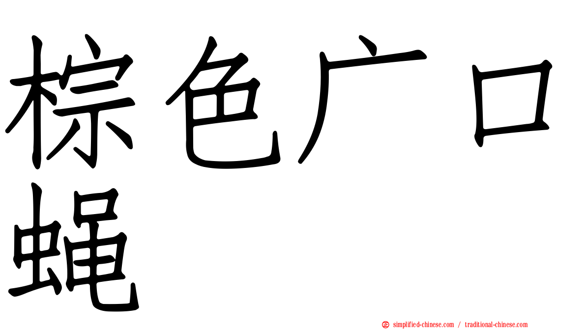 棕色广口蝇