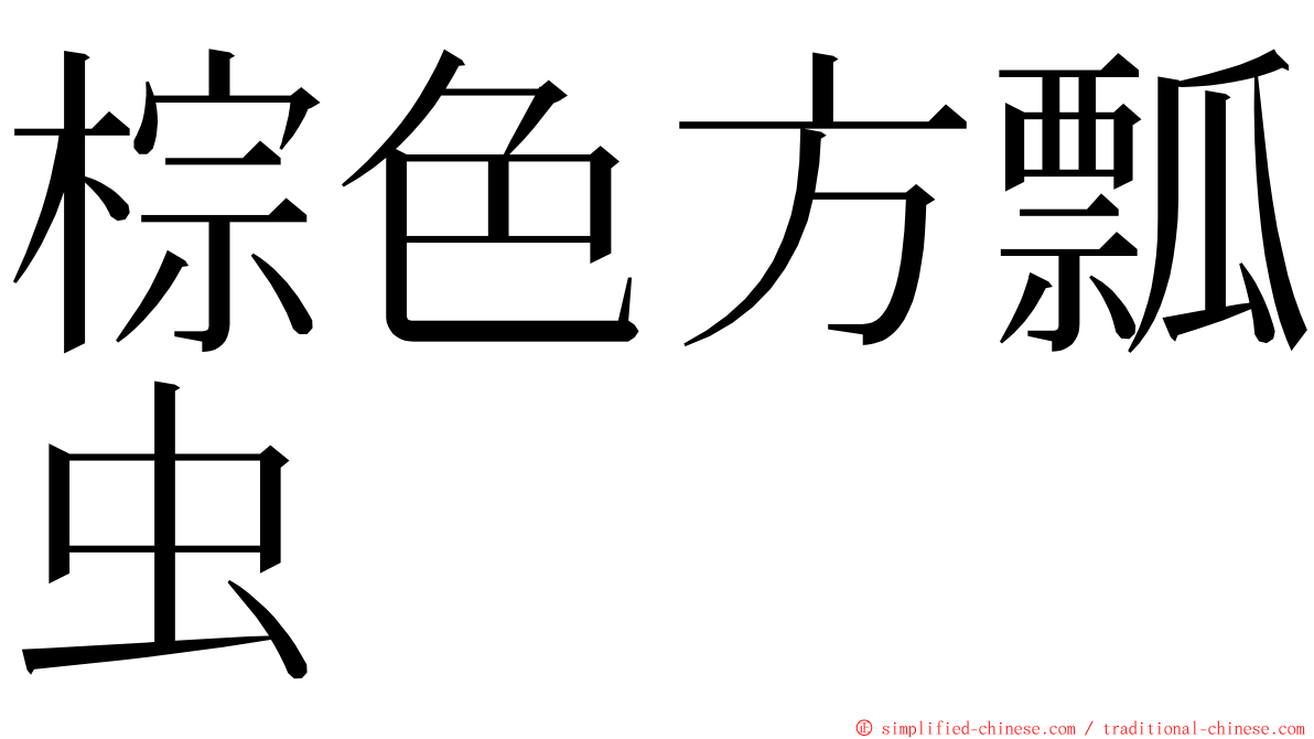 棕色方瓢虫 ming font