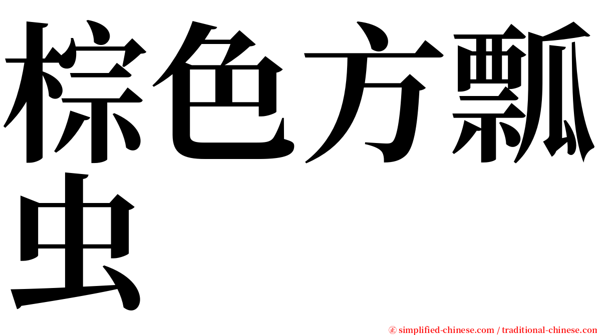 棕色方瓢虫 serif font