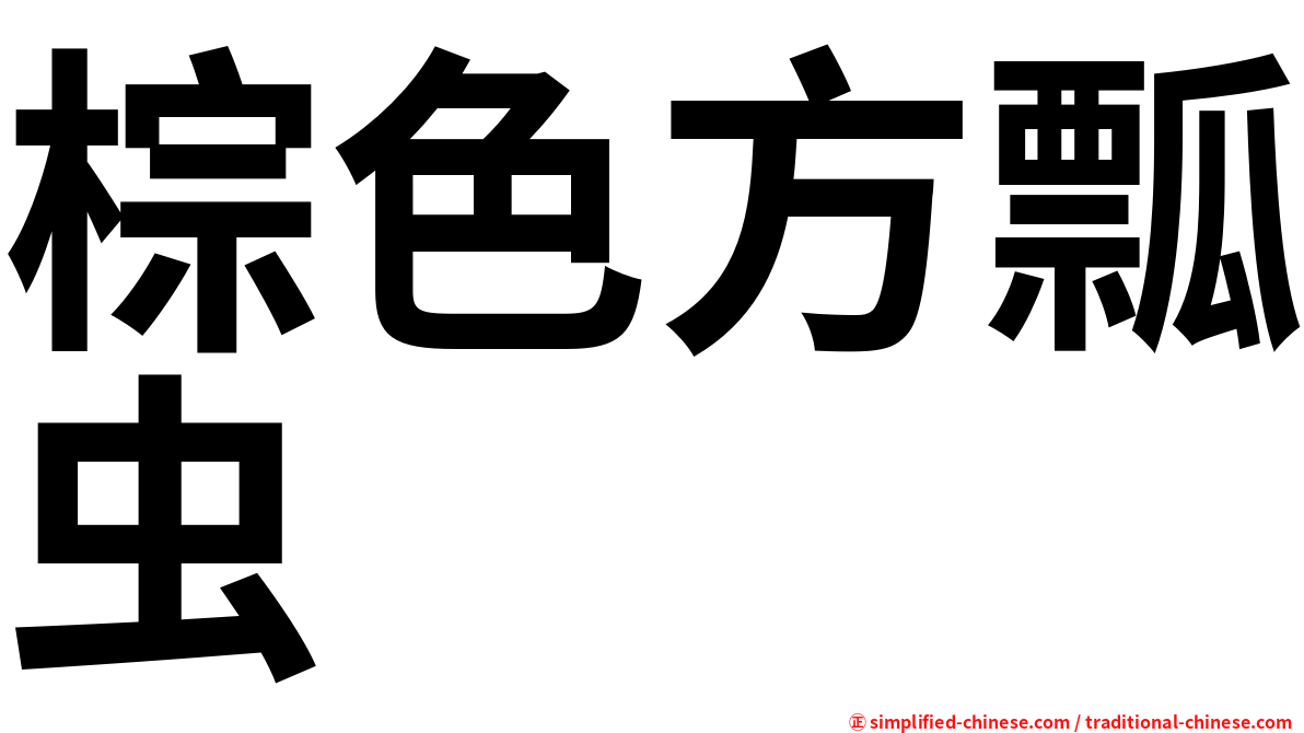 棕色方瓢虫