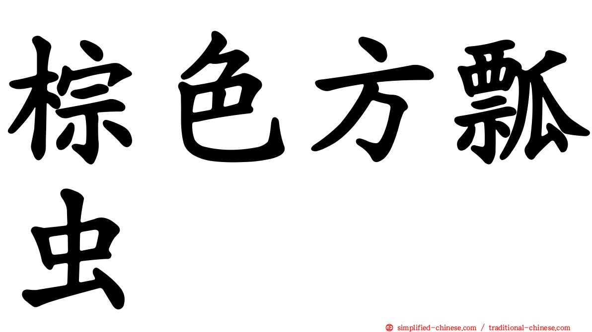 棕色方瓢虫