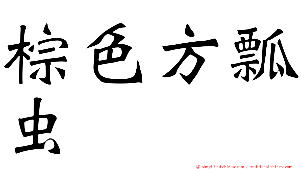 棕色方瓢虫