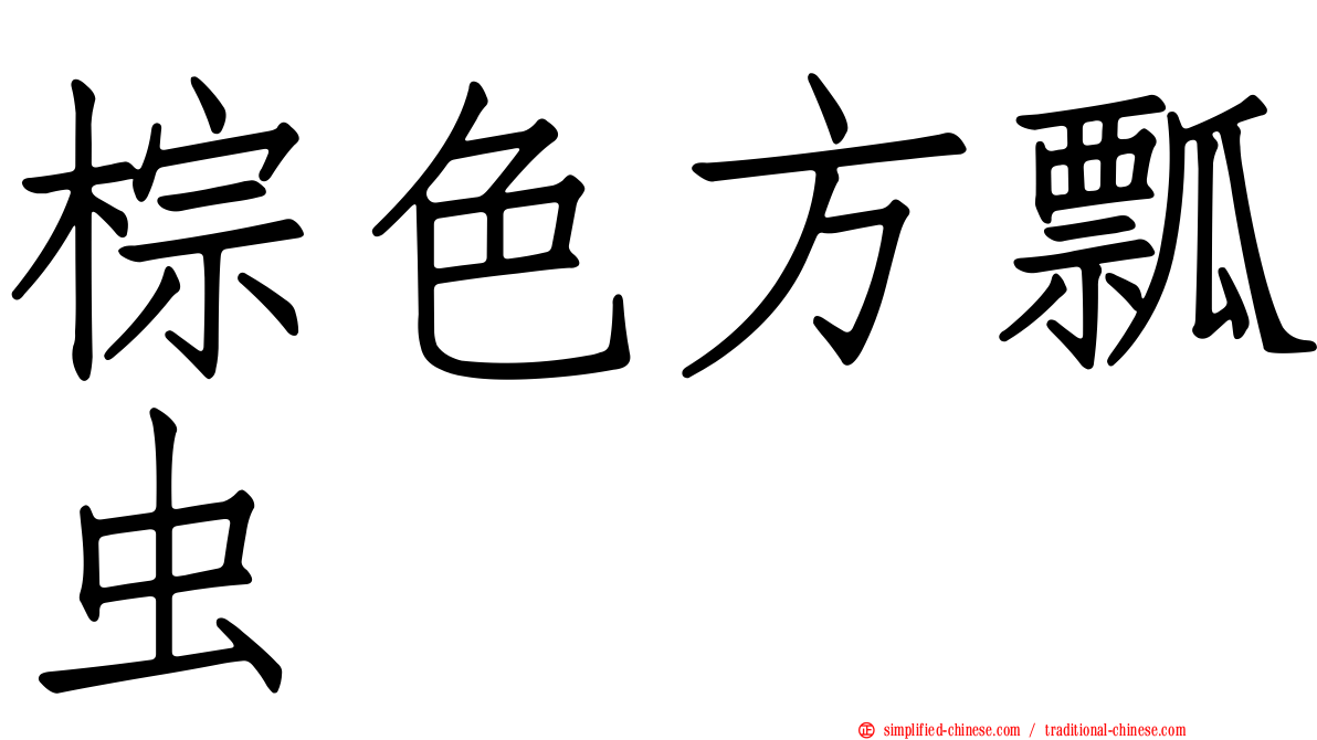 棕色方瓢虫