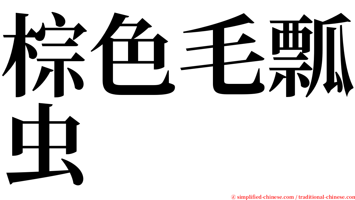 棕色毛瓢虫 serif font