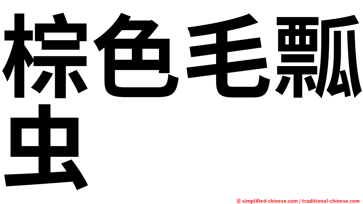 棕色毛瓢虫