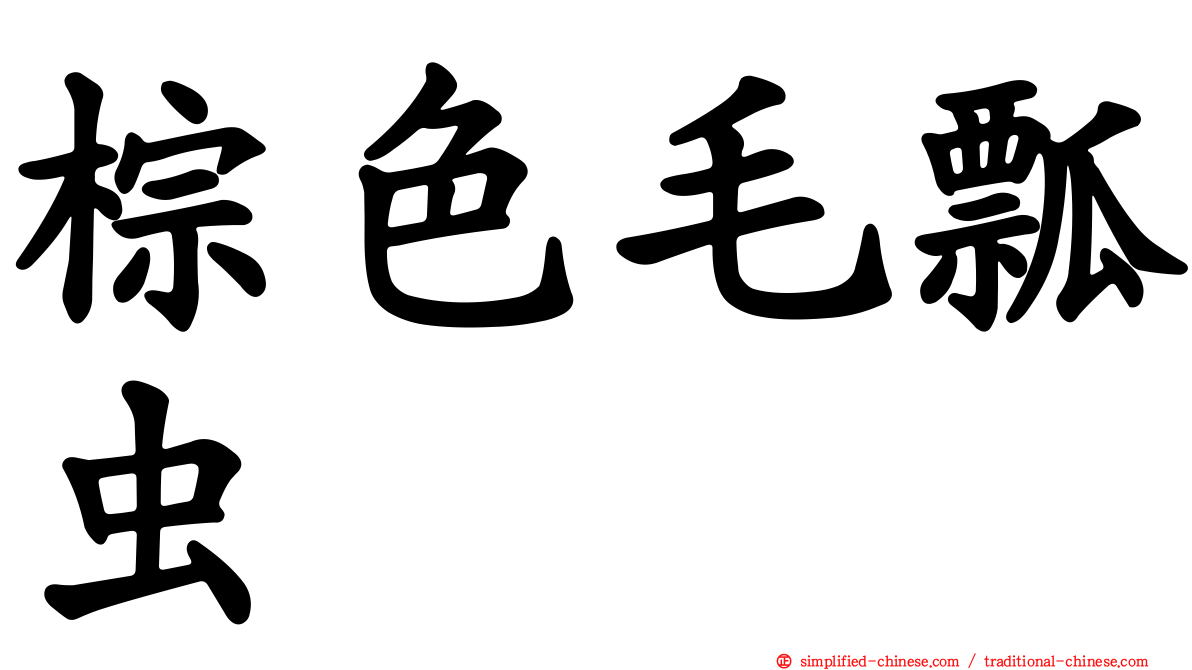 棕色毛瓢虫