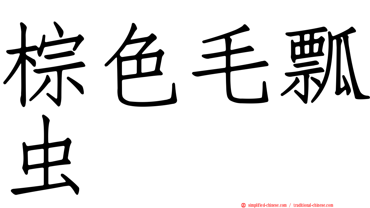 棕色毛瓢虫