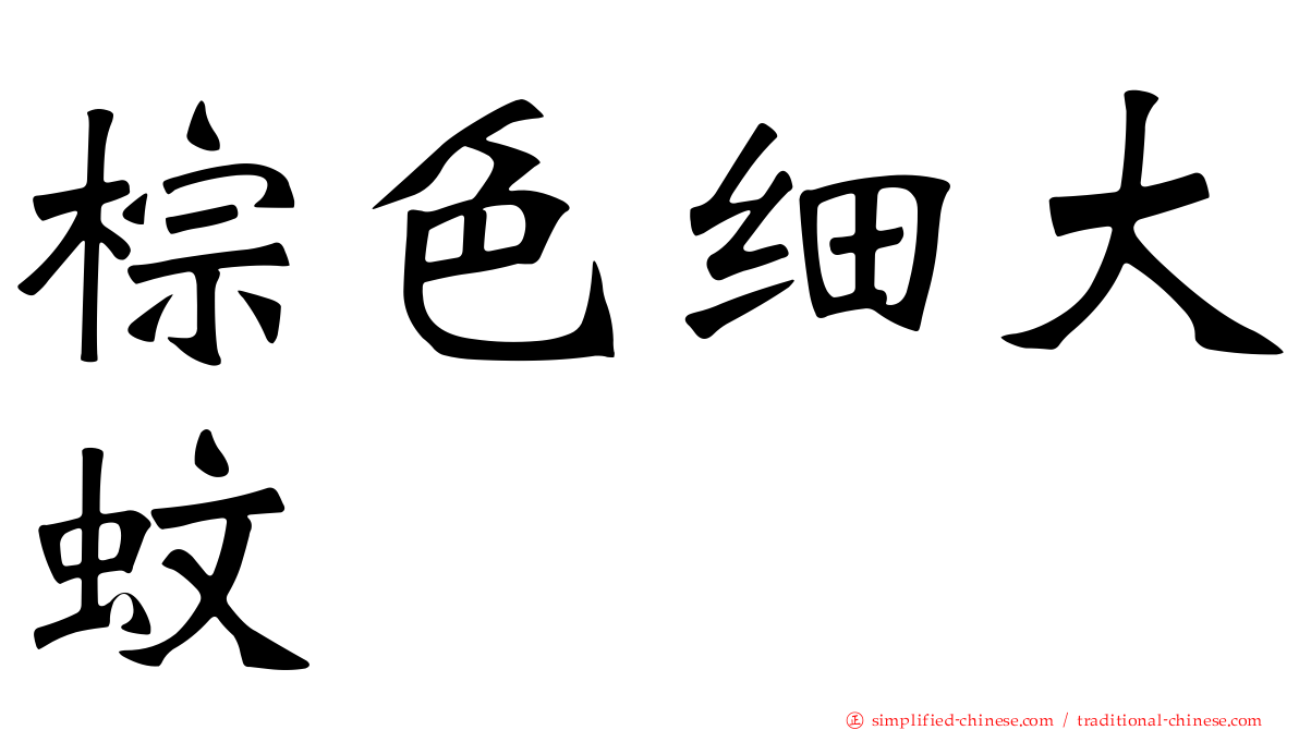 棕色细大蚊