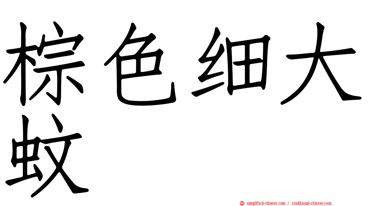 棕色细大蚊