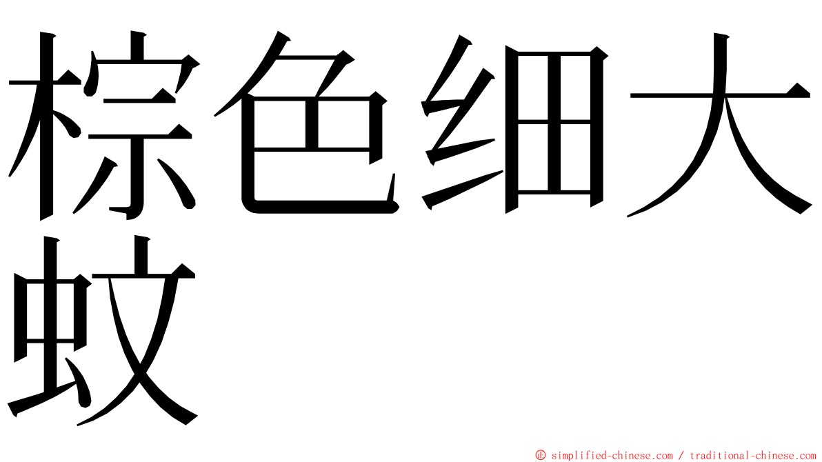 棕色细大蚊 ming font