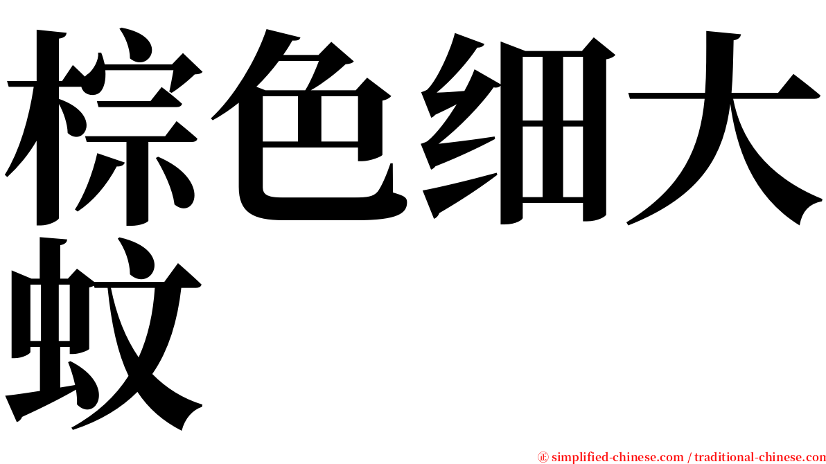 棕色细大蚊 serif font