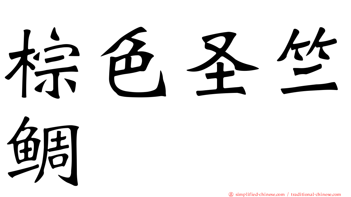 棕色圣竺鲷