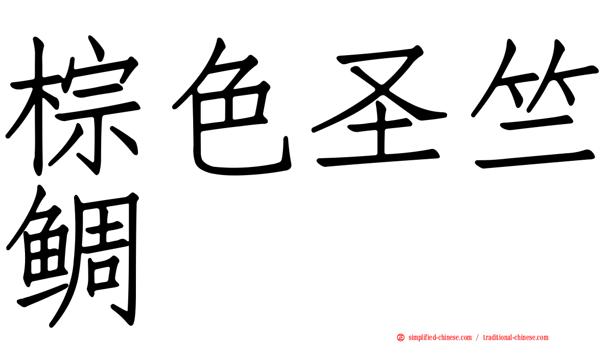 棕色圣竺鲷