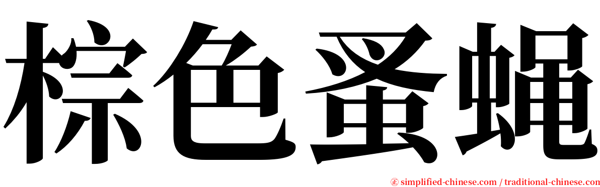棕色蚤蝇 serif font