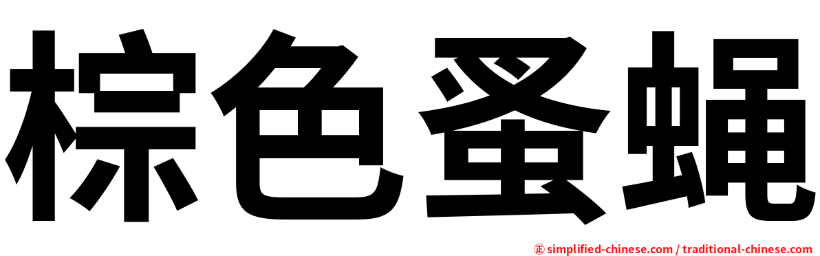 棕色蚤蝇