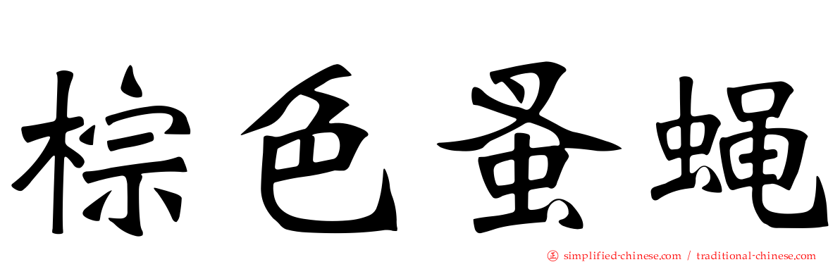 棕色蚤蝇