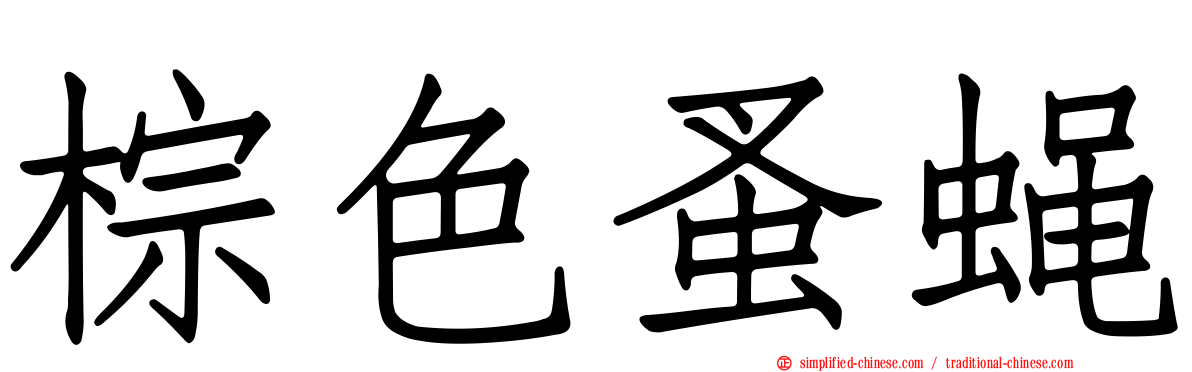 棕色蚤蝇