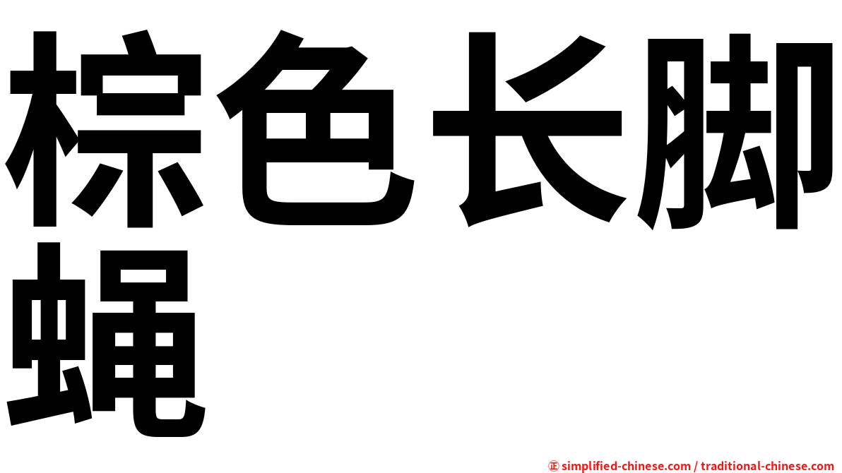 棕色长脚蝇