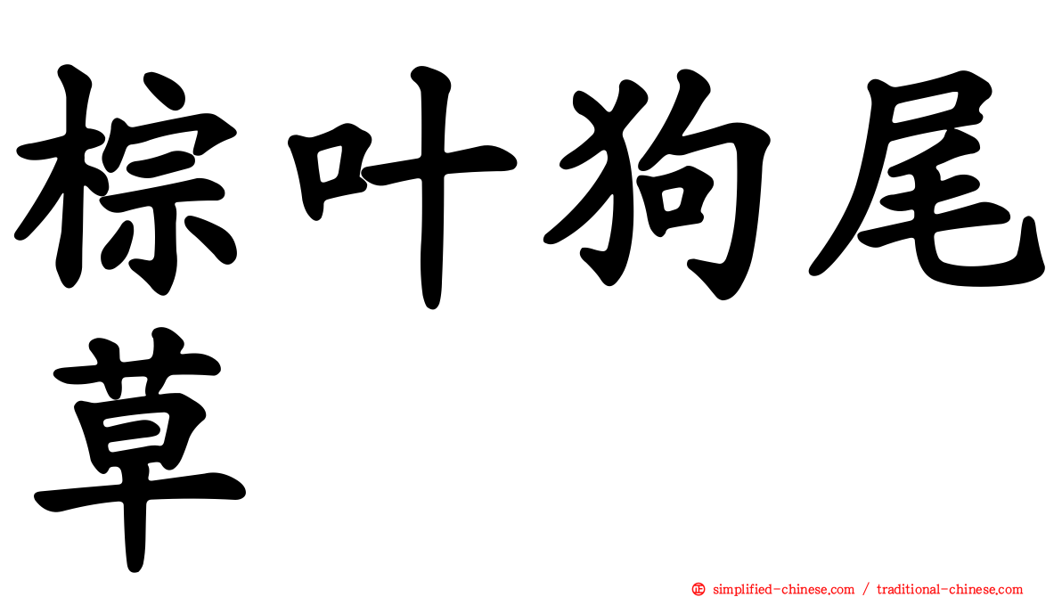 棕叶狗尾草