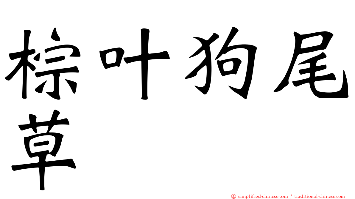 棕叶狗尾草