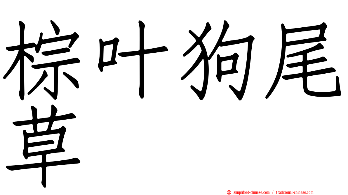 棕叶狗尾草