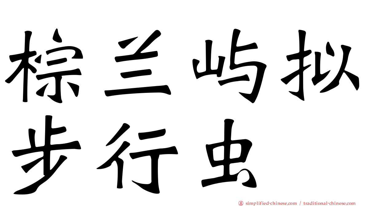 棕兰屿拟步行虫