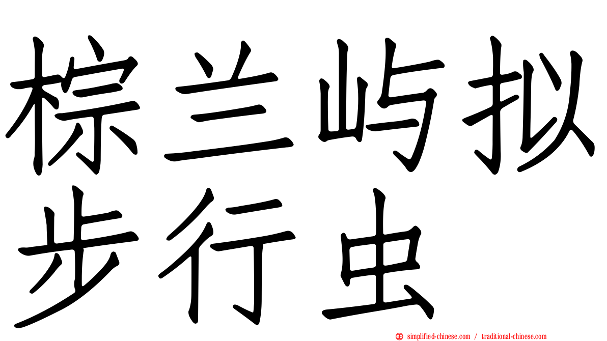 棕兰屿拟步行虫