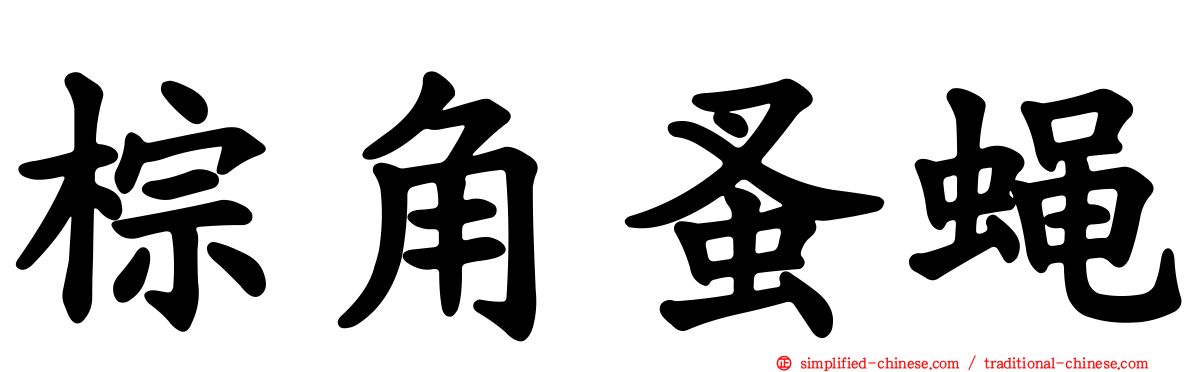 棕角蚤蝇