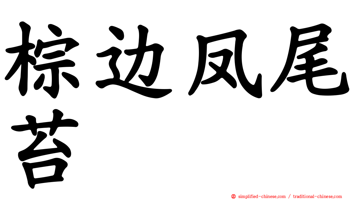 棕边凤尾苔