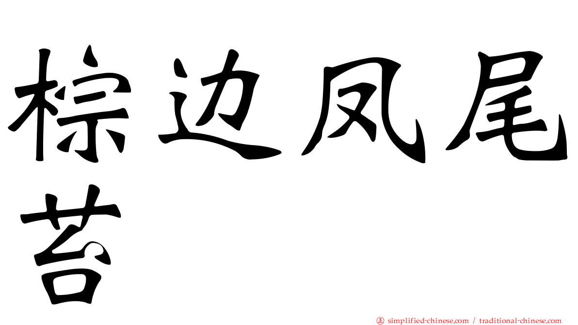 棕边凤尾苔