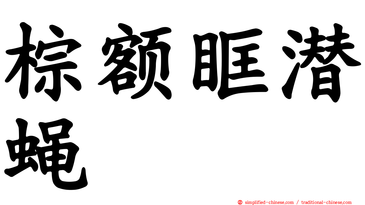 棕额眶潜蝇