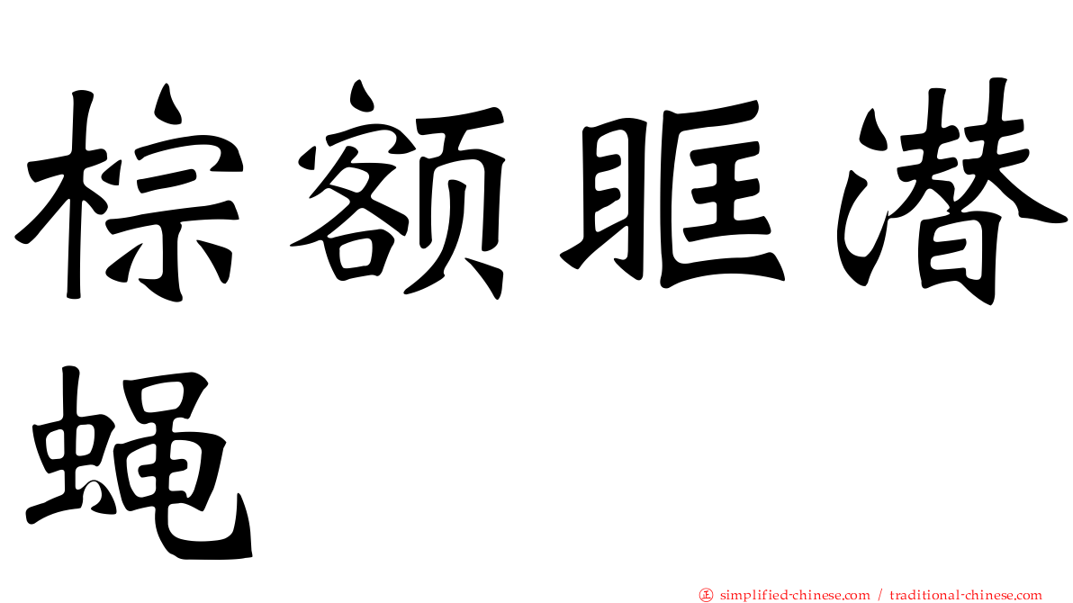 棕额眶潜蝇