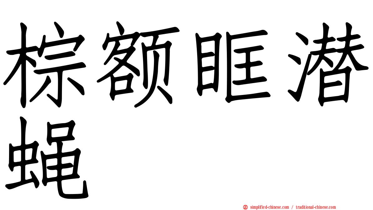 棕额眶潜蝇