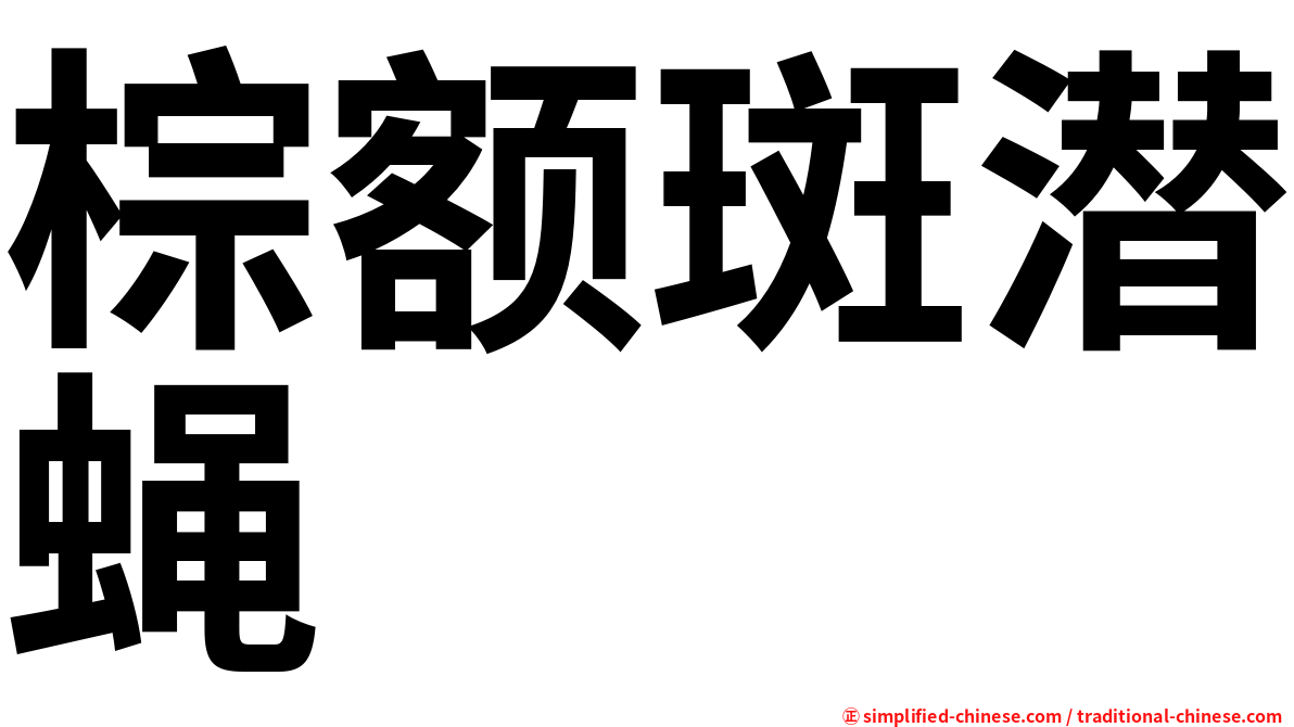 棕额斑潜蝇