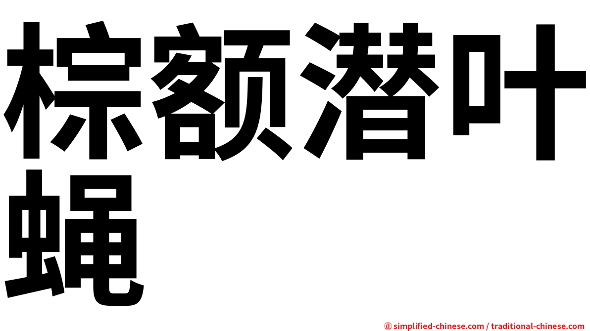 棕额潜叶蝇